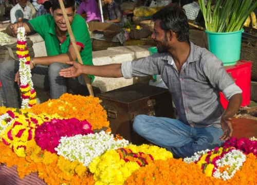 Flower Market Tour Jaipur